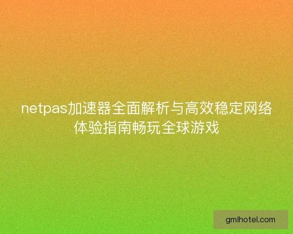 netpas加速器全面解析与高效稳定网络体验指南畅玩全球游戏